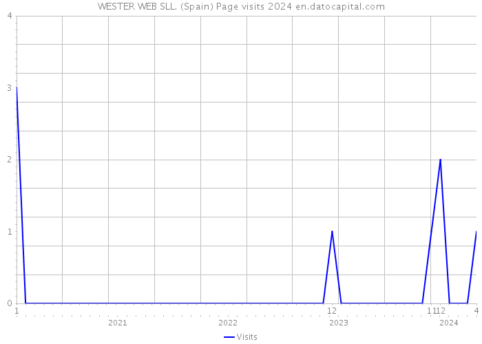 WESTER WEB SLL. (Spain) Page visits 2024 