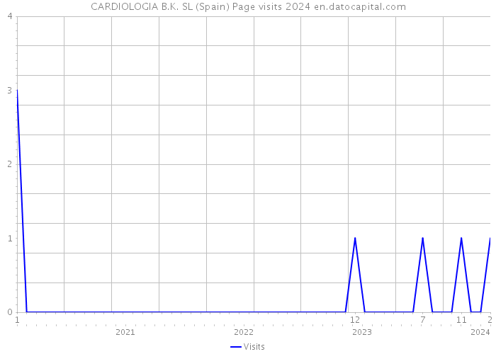CARDIOLOGIA B.K. SL (Spain) Page visits 2024 