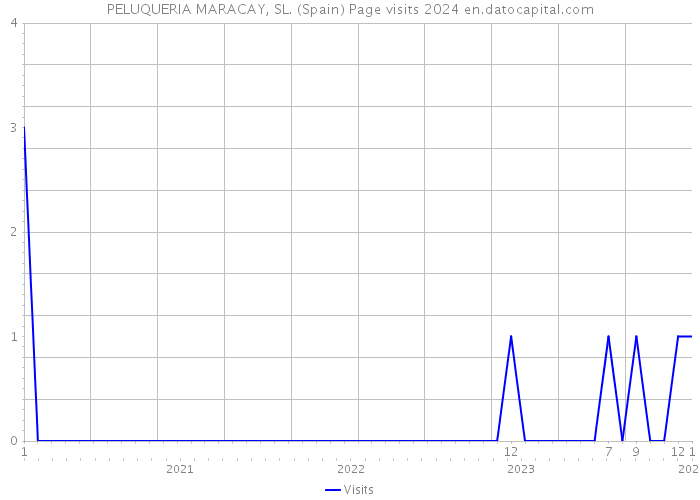 PELUQUERIA MARACAY, SL. (Spain) Page visits 2024 