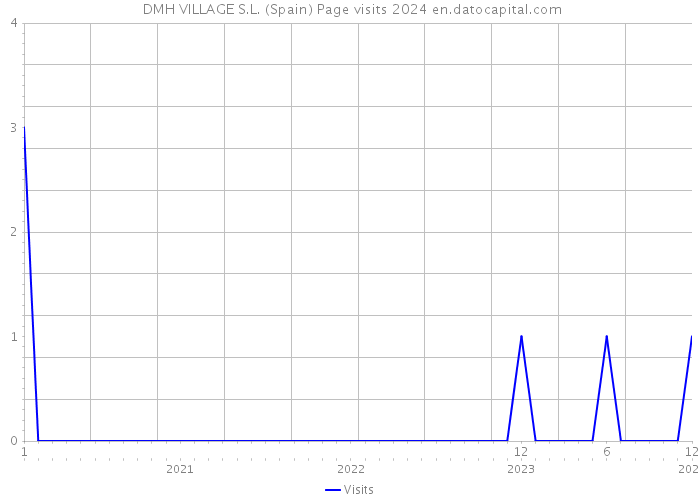  DMH VILLAGE S.L. (Spain) Page visits 2024 