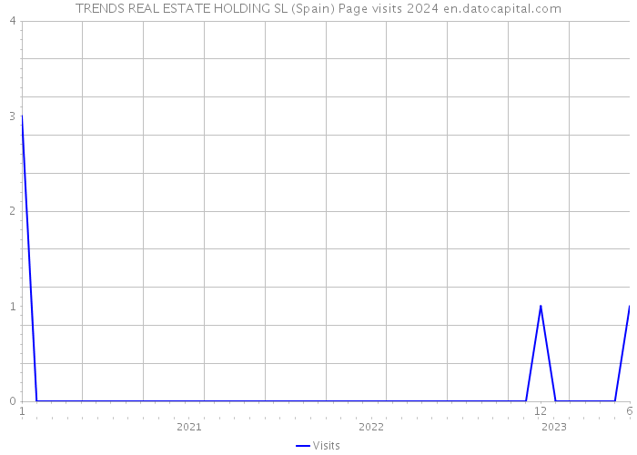 TRENDS REAL ESTATE HOLDING SL (Spain) Page visits 2024 
