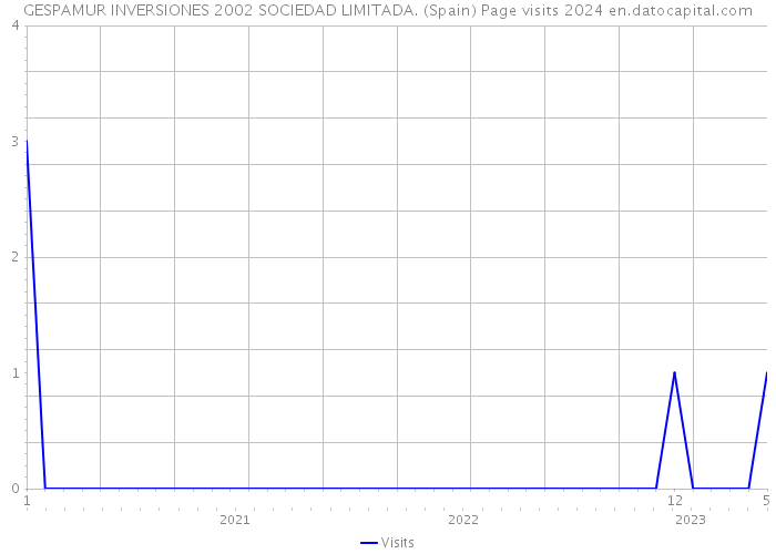 GESPAMUR INVERSIONES 2002 SOCIEDAD LIMITADA. (Spain) Page visits 2024 