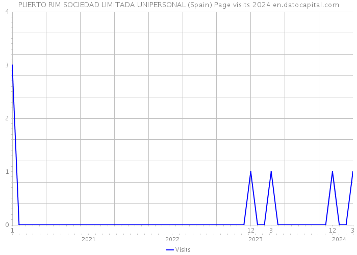 PUERTO RIM SOCIEDAD LIMITADA UNIPERSONAL (Spain) Page visits 2024 