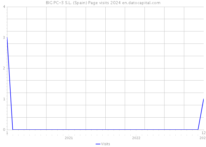 BIG PC-3 S.L. (Spain) Page visits 2024 