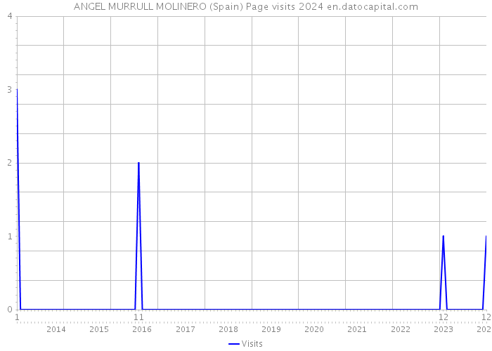 ANGEL MURRULL MOLINERO (Spain) Page visits 2024 