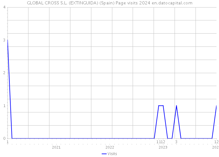 GLOBAL CROSS S.L. (EXTINGUIDA) (Spain) Page visits 2024 