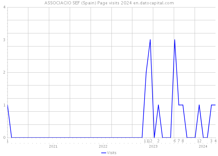 ASSOCIACIO SEF (Spain) Page visits 2024 
