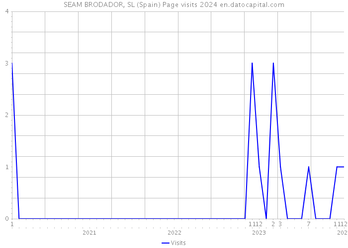SEAM BRODADOR, SL (Spain) Page visits 2024 