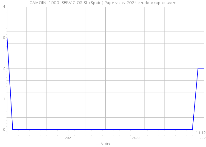 CAMOIN-1900-SERVICIOS SL (Spain) Page visits 2024 
