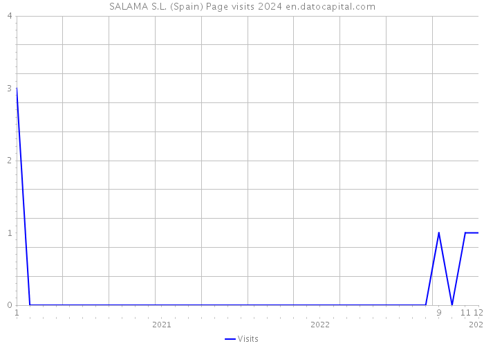 SALAMA S.L. (Spain) Page visits 2024 