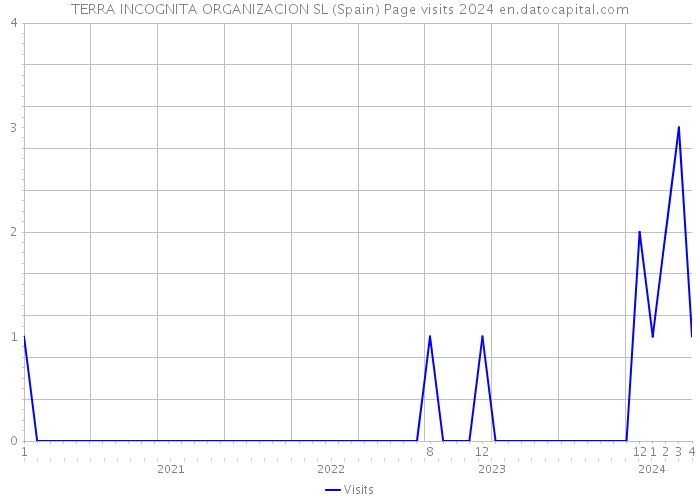 TERRA INCOGNITA ORGANIZACION SL (Spain) Page visits 2024 