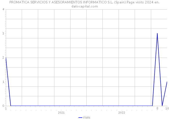 PROMATICA SERVICIOS Y ASESORAMIENTOS INFORMATICO S.L. (Spain) Page visits 2024 