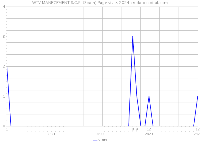 WTV MANEGEMENT S.C.P. (Spain) Page visits 2024 