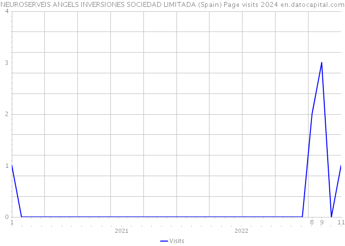 NEUROSERVEIS ANGELS INVERSIONES SOCIEDAD LIMITADA (Spain) Page visits 2024 