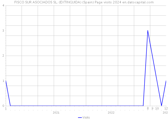 FISCO SUR ASOCIADOS SL. (EXTINGUIDA) (Spain) Page visits 2024 