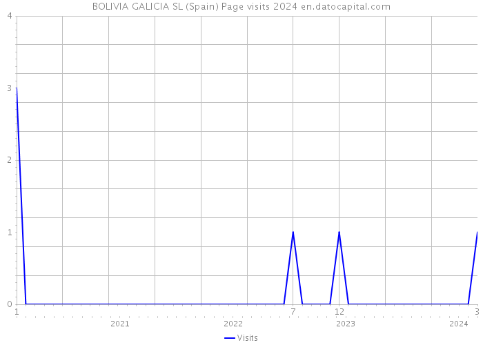 BOLIVIA GALICIA SL (Spain) Page visits 2024 