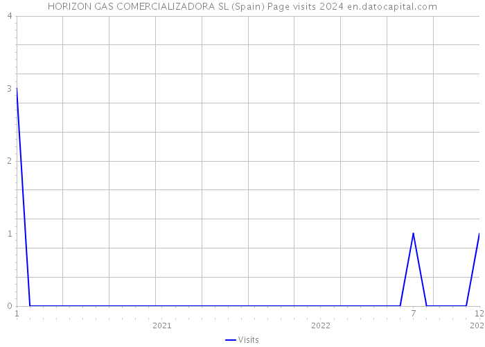 HORIZON GAS COMERCIALIZADORA SL (Spain) Page visits 2024 