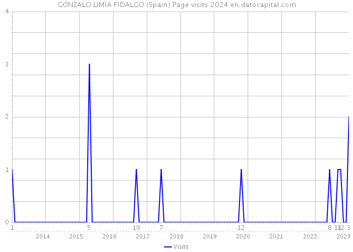 GONZALO LIMIA FIDALGO (Spain) Page visits 2024 