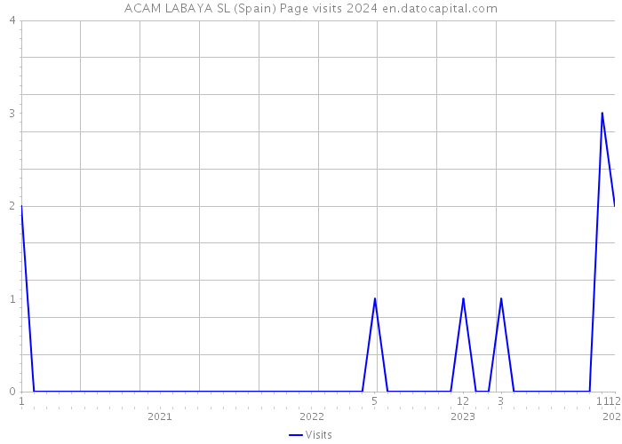 ACAM LABAYA SL (Spain) Page visits 2024 