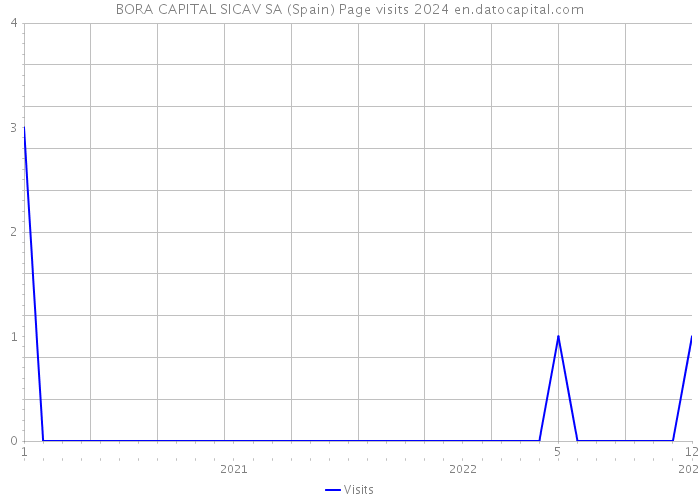 BORA CAPITAL SICAV SA (Spain) Page visits 2024 