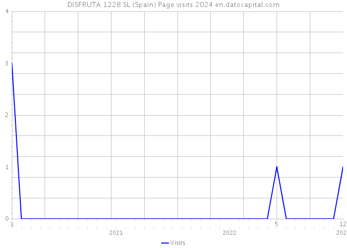 DISFRUTA 1228 SL (Spain) Page visits 2024 