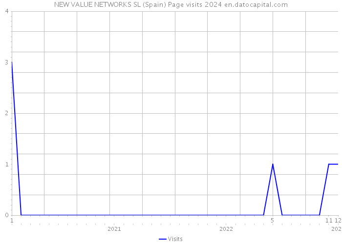 NEW VALUE NETWORKS SL (Spain) Page visits 2024 
