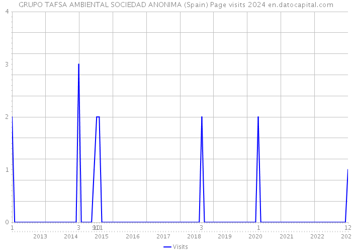 GRUPO TAFSA AMBIENTAL SOCIEDAD ANONIMA (Spain) Page visits 2024 