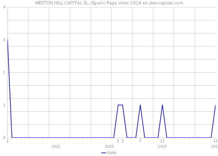 WESTON HILL CAPITAL SL. (Spain) Page visits 2024 