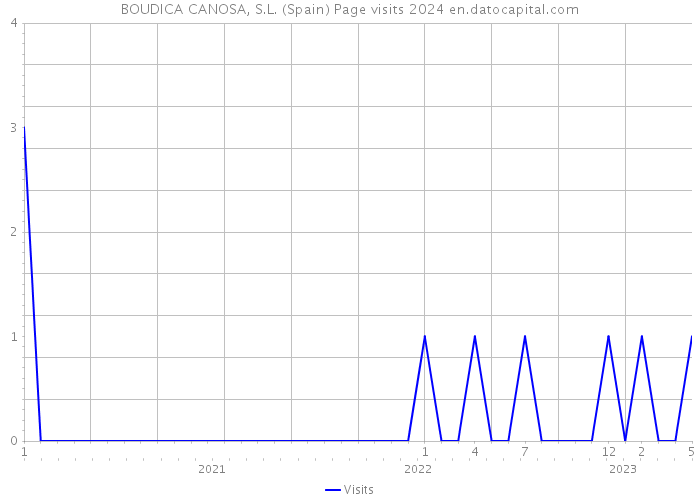 BOUDICA CANOSA, S.L. (Spain) Page visits 2024 