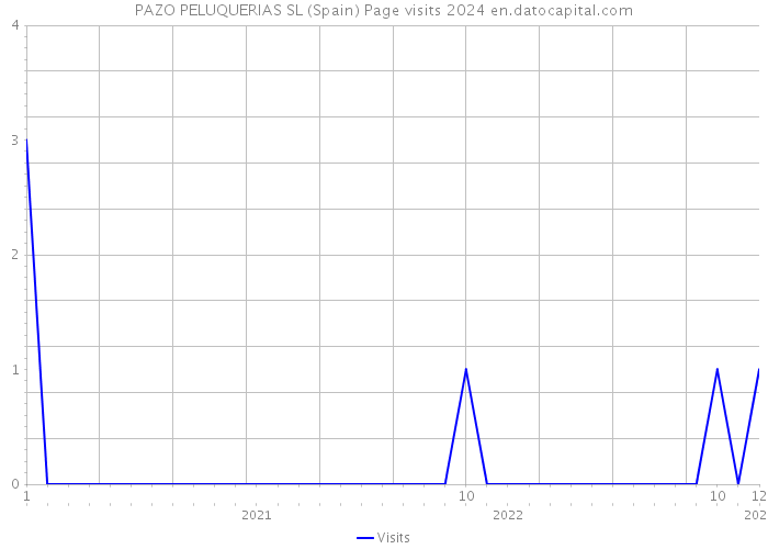 PAZO PELUQUERIAS SL (Spain) Page visits 2024 