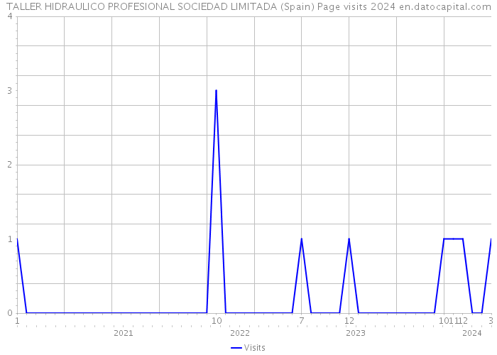 TALLER HIDRAULICO PROFESIONAL SOCIEDAD LIMITADA (Spain) Page visits 2024 