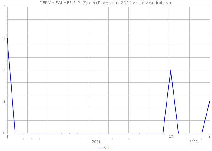 DERMA BALMES SLP. (Spain) Page visits 2024 