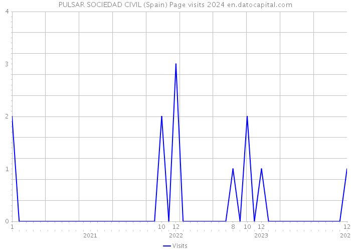PULSAR SOCIEDAD CIVIL (Spain) Page visits 2024 