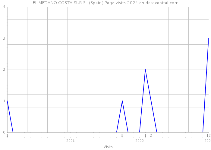 EL MEDANO COSTA SUR SL (Spain) Page visits 2024 
