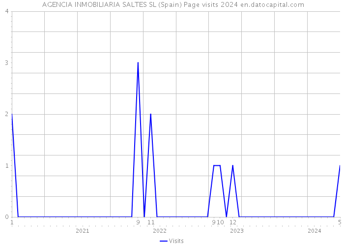  AGENCIA INMOBILIARIA SALTES SL (Spain) Page visits 2024 