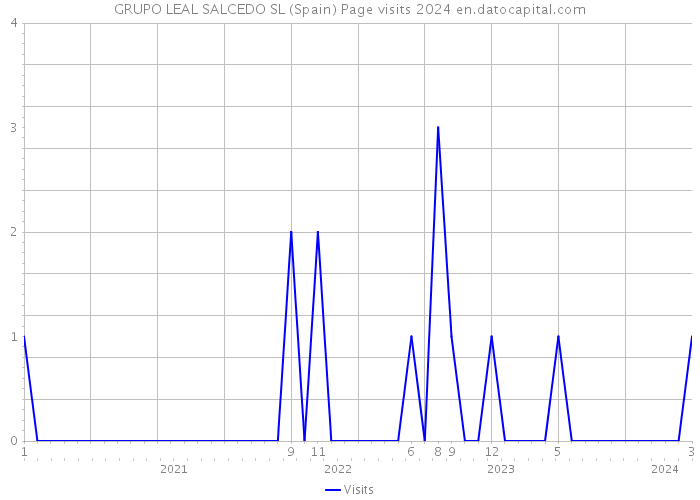 GRUPO LEAL SALCEDO SL (Spain) Page visits 2024 