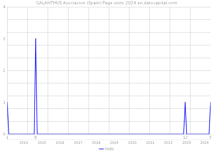 GALANTHUS Asociacion (Spain) Page visits 2024 