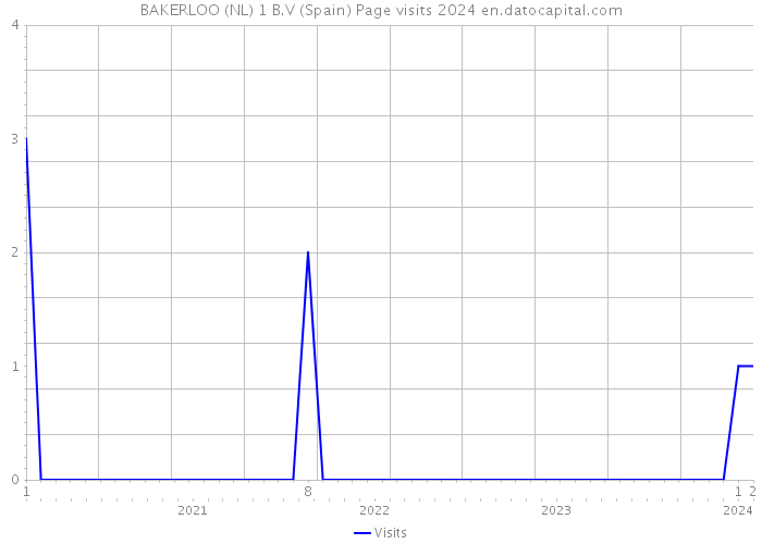 BAKERLOO (NL) 1 B.V (Spain) Page visits 2024 