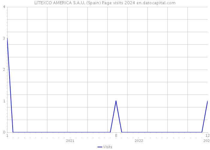 LITEXCO AMERICA S.A.U. (Spain) Page visits 2024 