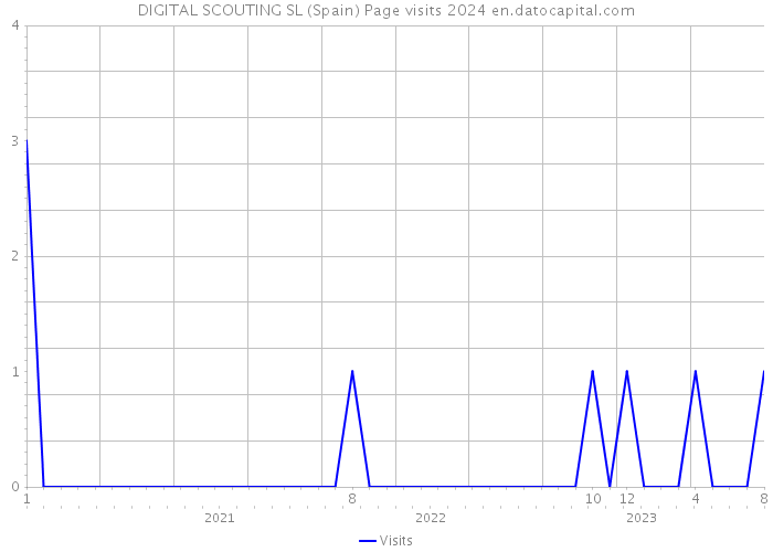 DIGITAL SCOUTING SL (Spain) Page visits 2024 