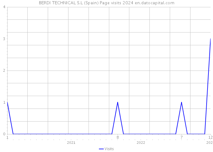 BERDI TECHNICAL S.L (Spain) Page visits 2024 