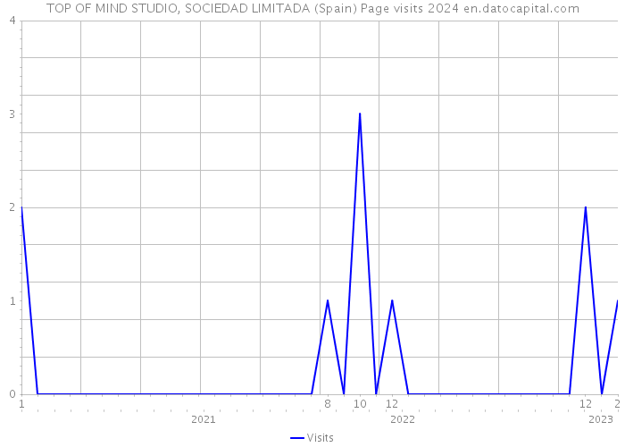 TOP OF MIND STUDIO, SOCIEDAD LIMITADA (Spain) Page visits 2024 