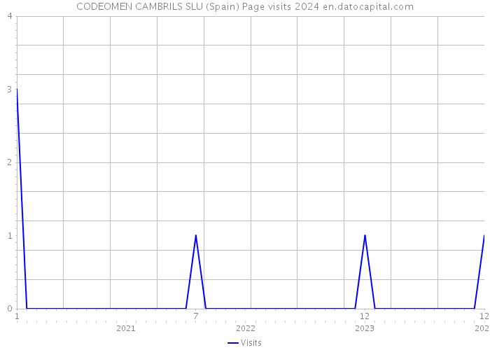CODEOMEN CAMBRILS SLU (Spain) Page visits 2024 