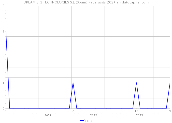 DREAM BIG TECHNOLOGIES S.L (Spain) Page visits 2024 