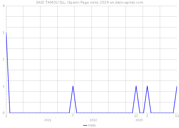SAID TAMOU SLL. (Spain) Page visits 2024 