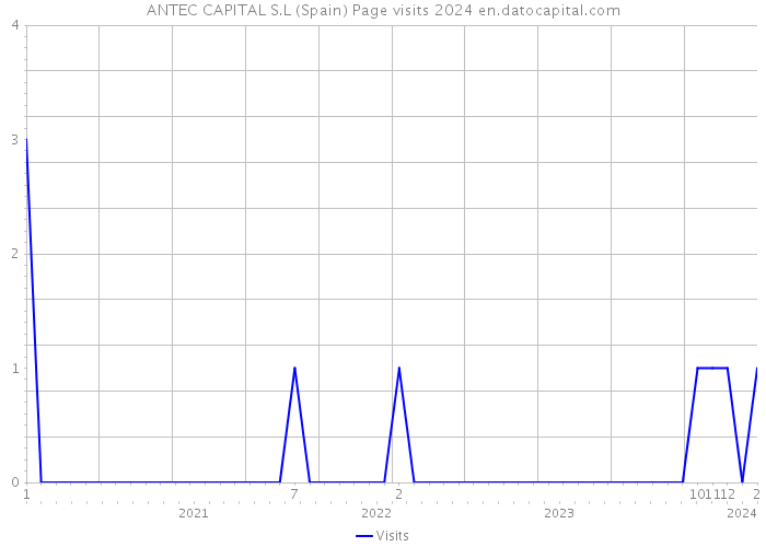 ANTEC CAPITAL S.L (Spain) Page visits 2024 