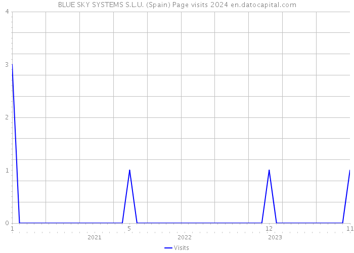 BLUE SKY SYSTEMS S.L.U. (Spain) Page visits 2024 