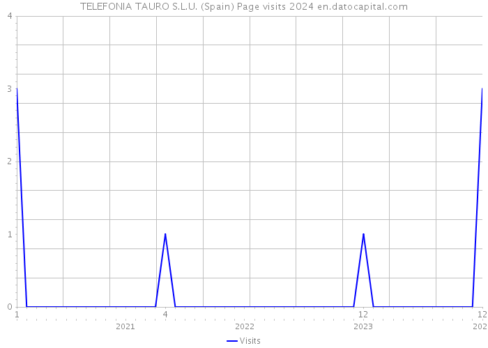 TELEFONIA TAURO S.L.U. (Spain) Page visits 2024 