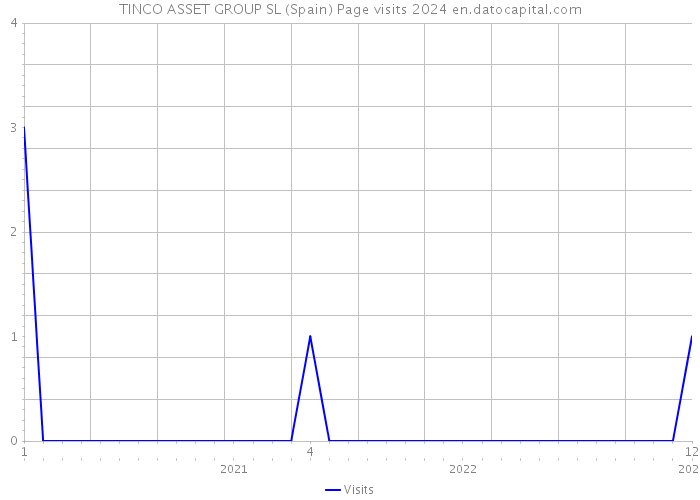 TINCO ASSET GROUP SL (Spain) Page visits 2024 