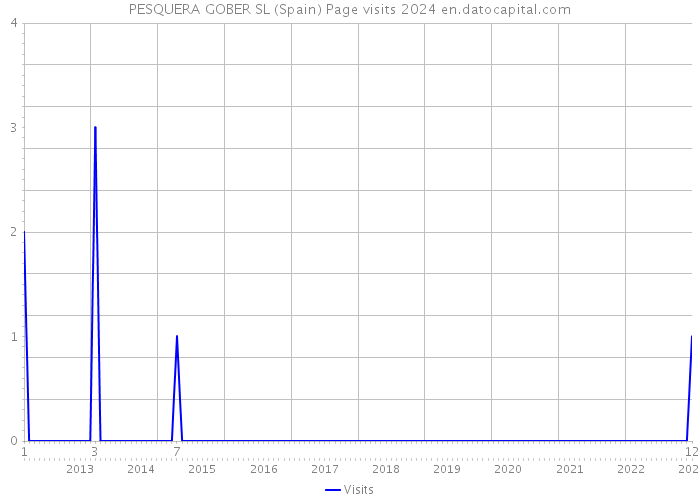 PESQUERA GOBER SL (Spain) Page visits 2024 
